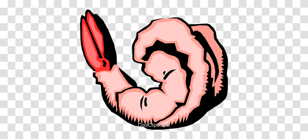 Detail Shrimp Clip Art Free Nomer 32