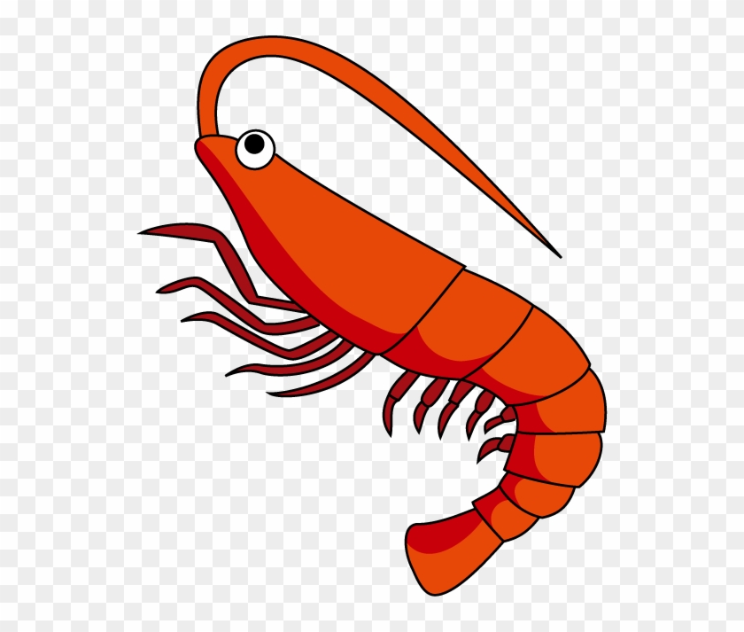 Detail Shrimp Clip Art Free Nomer 5