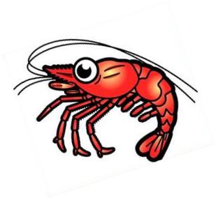 Detail Shrimp Clipart Free Nomer 11