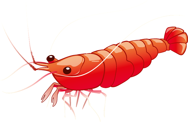 Detail Shrimp Clipart Free Nomer 14