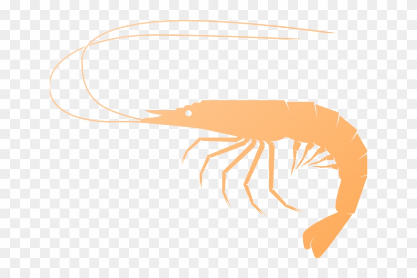 Detail Shrimp Clipart Png Nomer 17