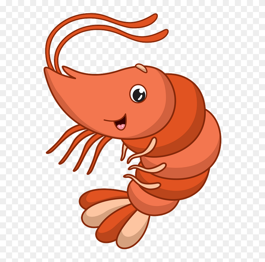 Detail Shrimp Clipart Png Nomer 18