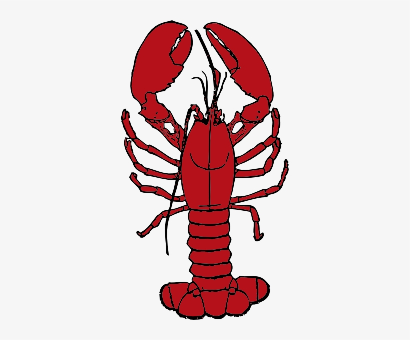 Detail Shrimp Clipart Png Nomer 44