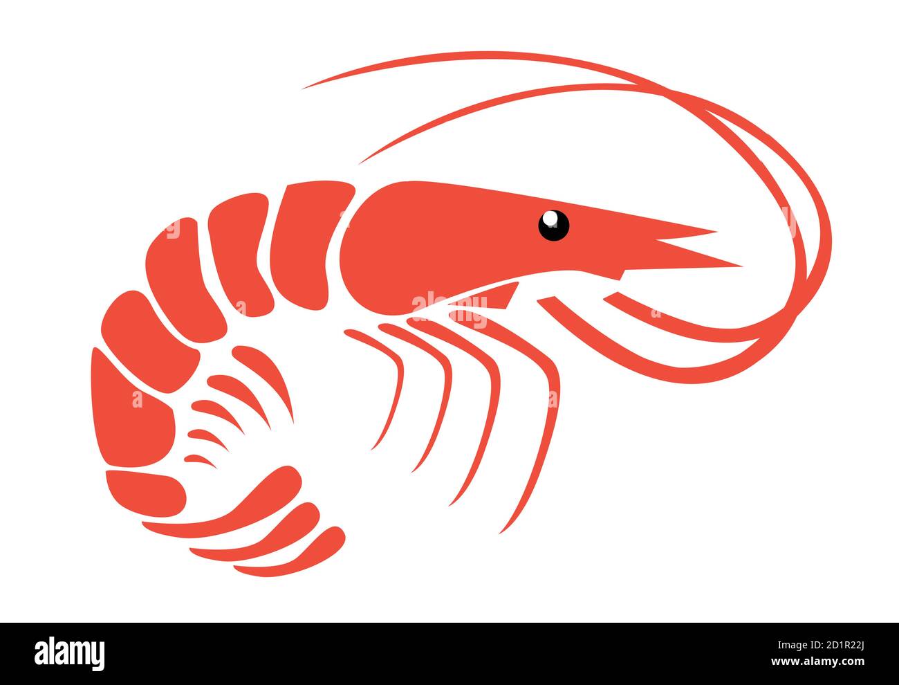 Detail Shrimp Images Clip Art Nomer 10