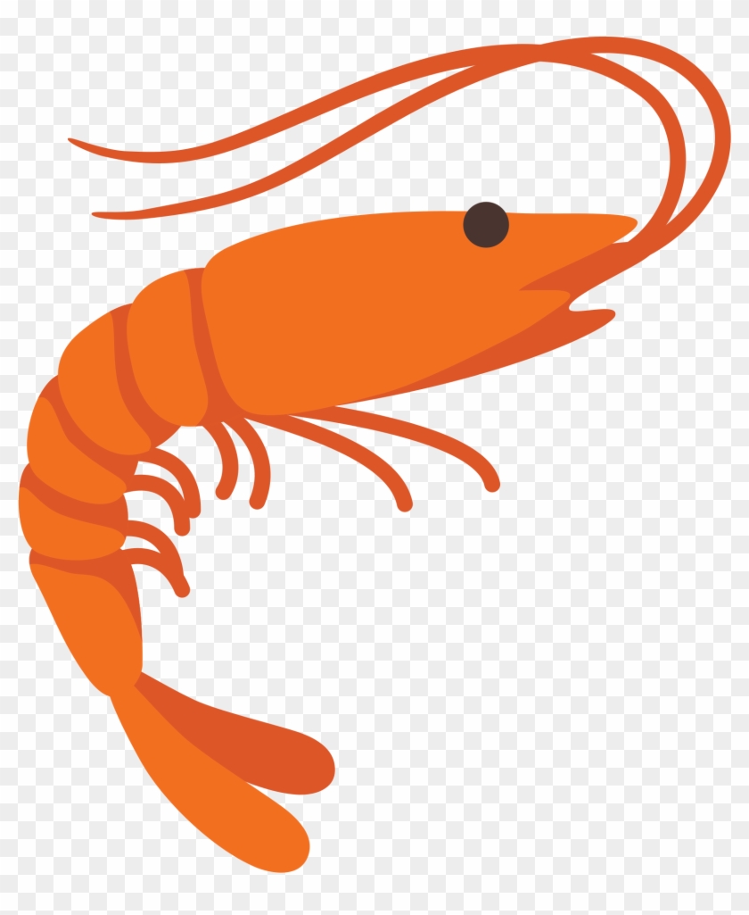 Detail Shrimp Images Clip Art Nomer 12