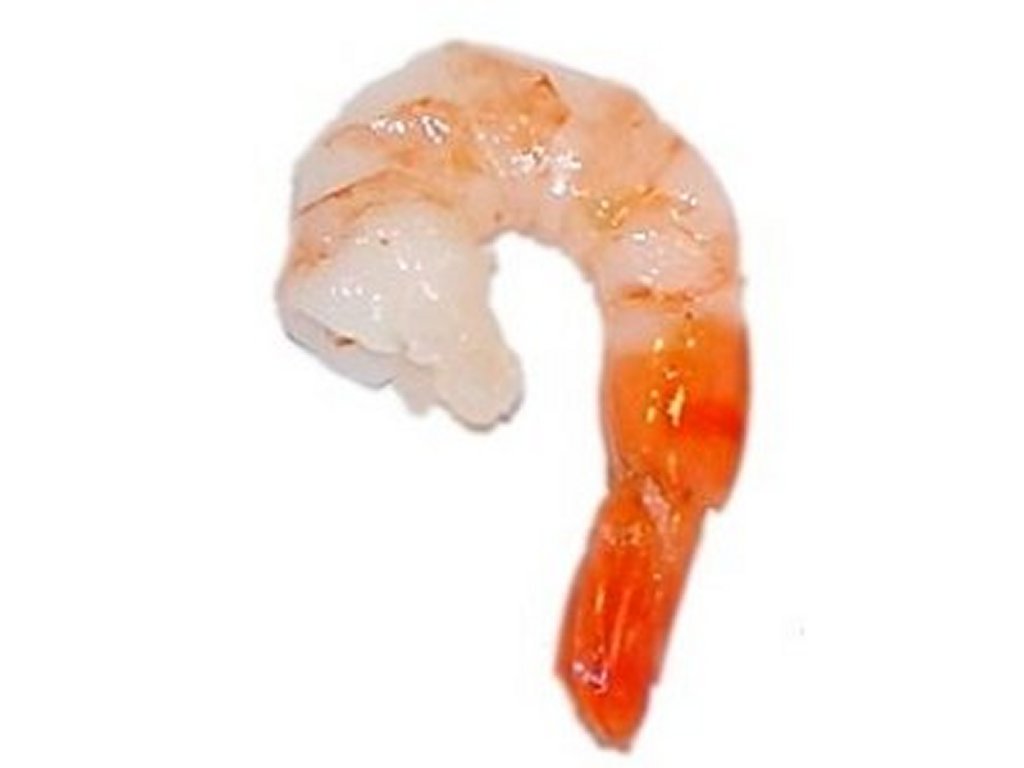 Detail Shrimp Images Clip Art Nomer 48