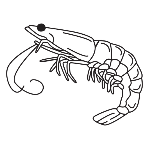 Detail Shrimp Png Nomer 26