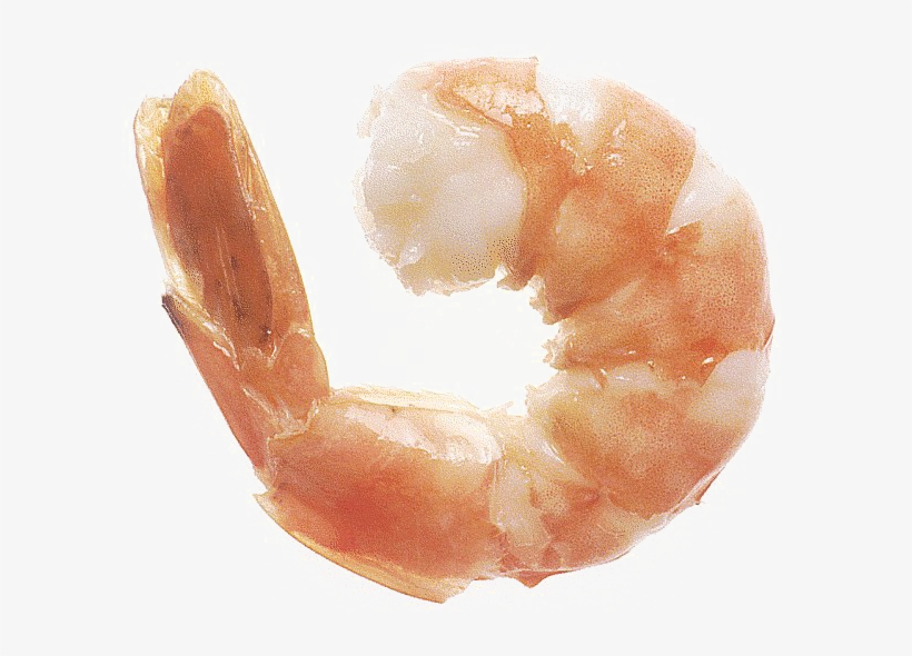 Detail Shrimp Png Nomer 41