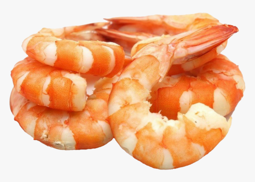 Detail Shrimp Transparent Background Nomer 25