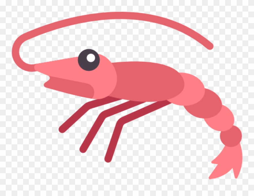 Detail Shrimp Transparent Background Nomer 47