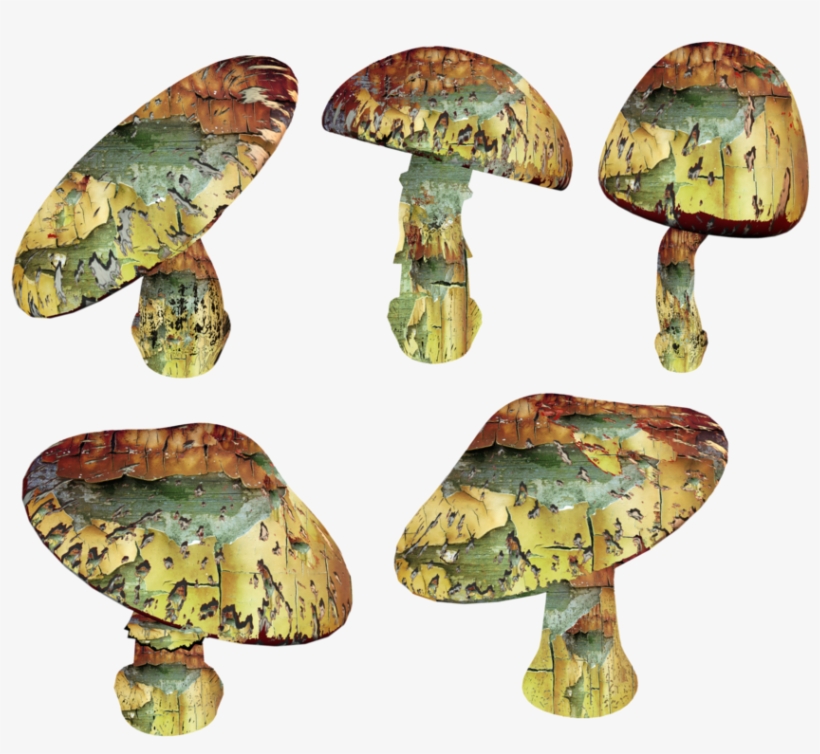 Detail Shroom Png Nomer 31