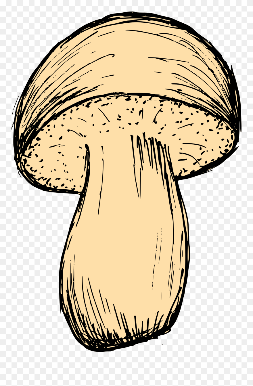 Detail Shroom Png Nomer 50