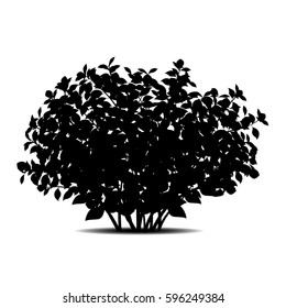 Detail Shrub Silhouette Png Nomer 14