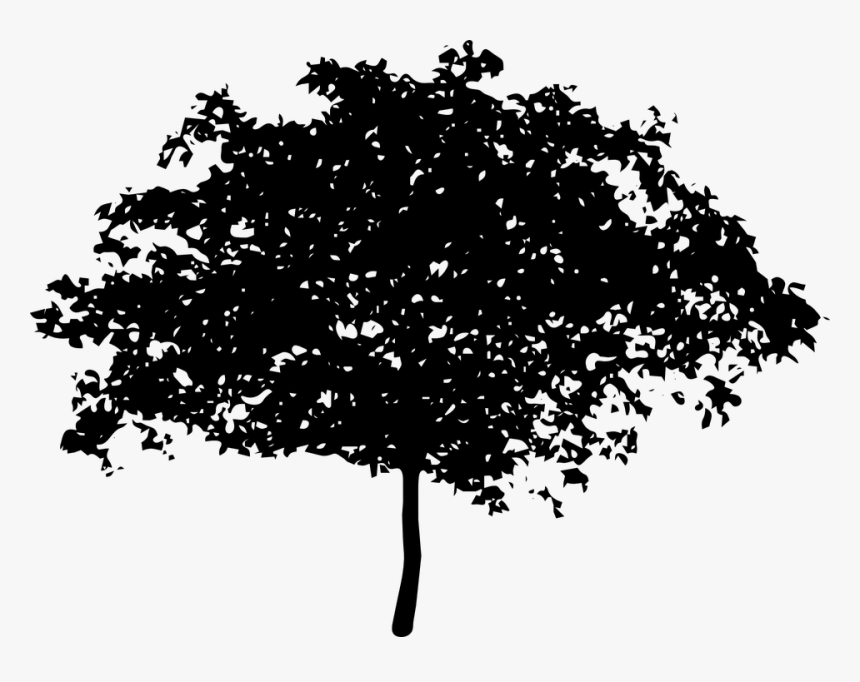 Detail Shrub Silhouette Png Nomer 19