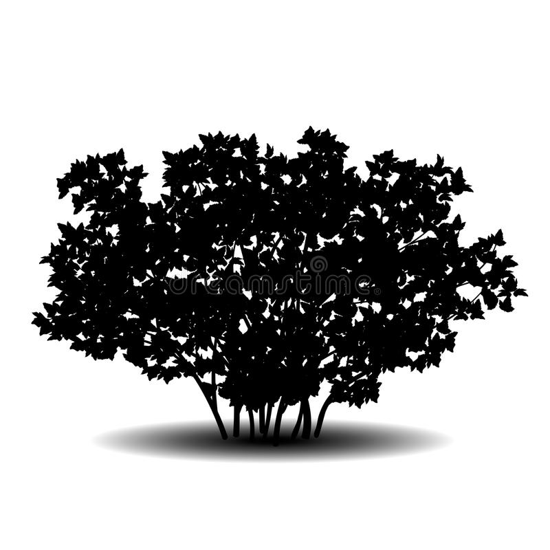 Detail Shrub Silhouette Png Nomer 26