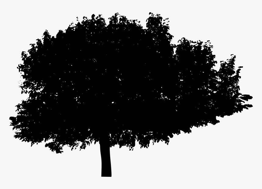 Detail Shrub Silhouette Png Nomer 4