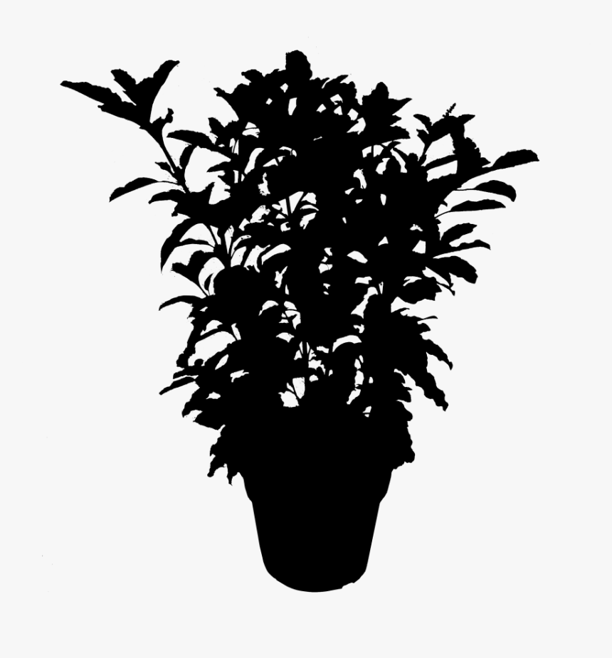 Detail Shrub Silhouette Png Nomer 31