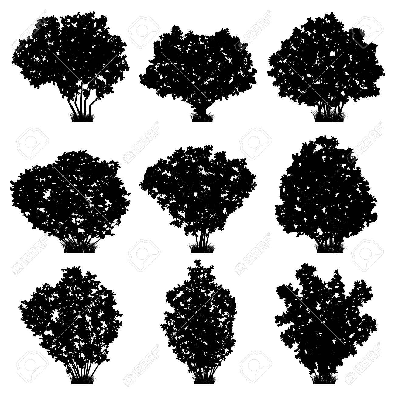 Detail Shrub Silhouette Png Nomer 55