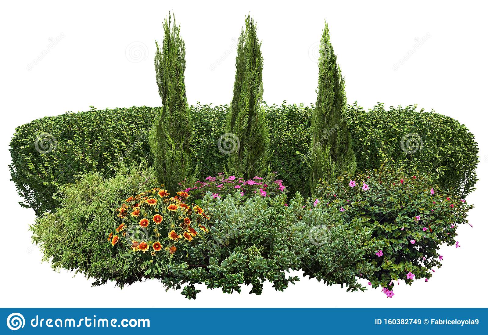 Detail Shrub Transparent Background Nomer 43