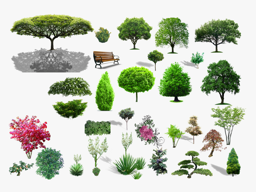 Detail Shrub Transparent Background Nomer 46