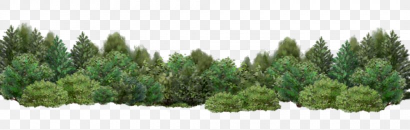 Detail Shrubbery Png Nomer 20