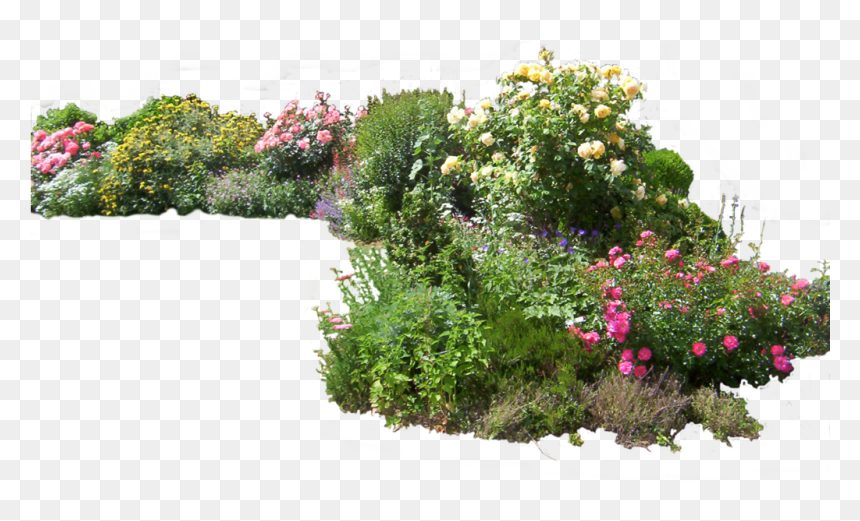 Detail Shrubbery Png Nomer 23