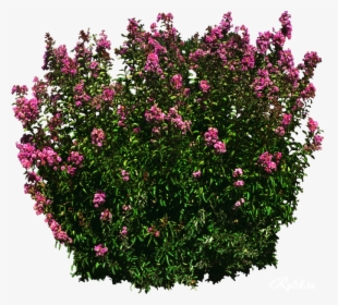 Detail Shrubbery Png Nomer 37