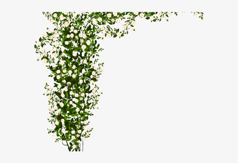 Detail Shrubs Png Nomer 50