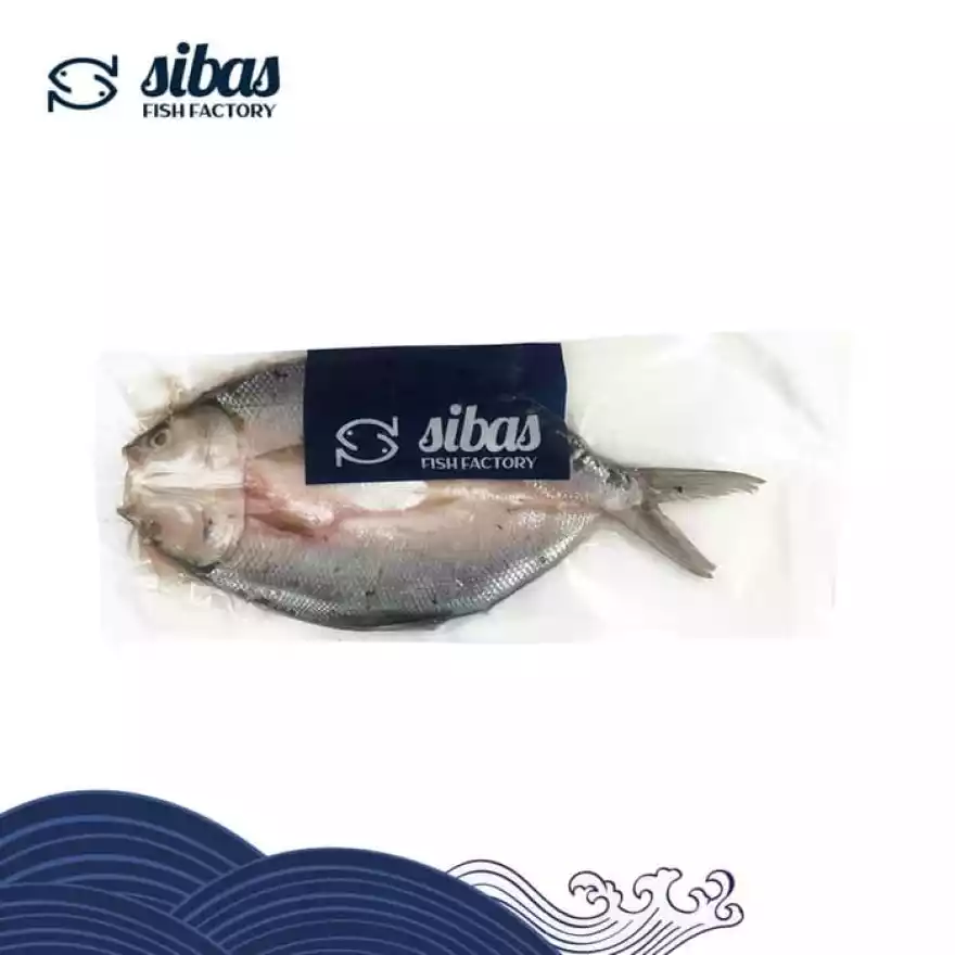 Detail Sibas Fish Factory Nomer 42