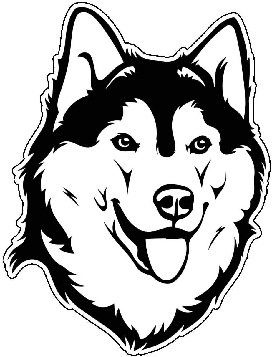 Detail Siberian Husky Indonesia Nomer 33