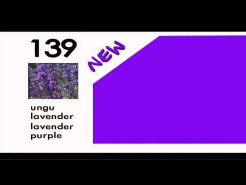 Detail Warna Cat Ungu Lavender Nomer 36