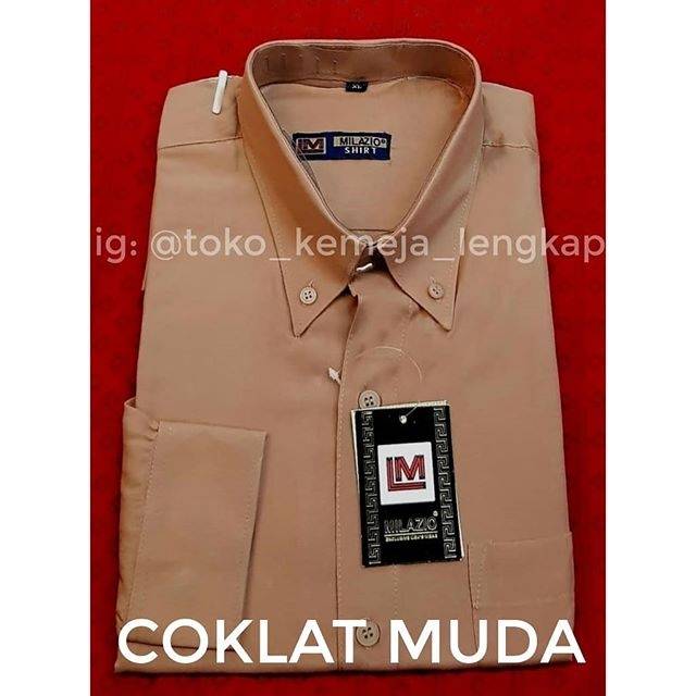 Detail Warna Coklat Muda Polos Nomer 13