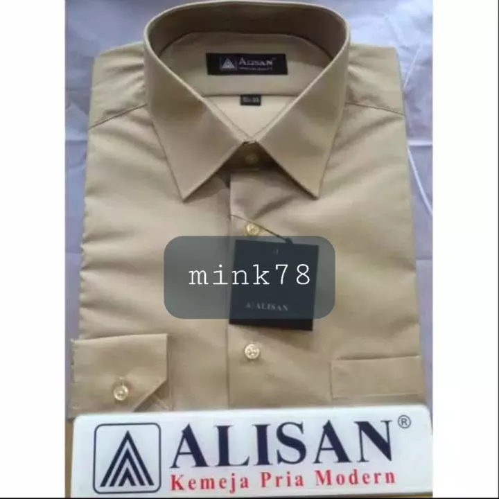 Detail Warna Coklat Muda Polos Nomer 32