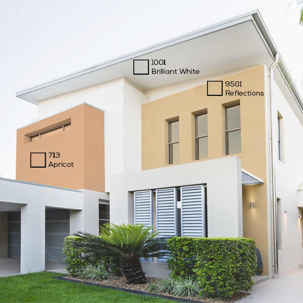 Detail Warna Eksterior Rumah Nomer 9