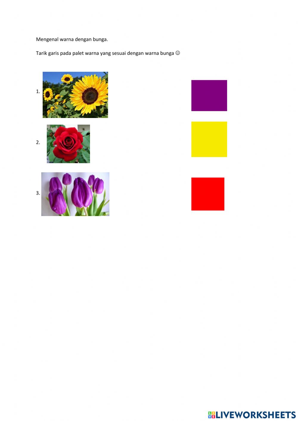 Detail Warna Gambar Bunga Nomer 25