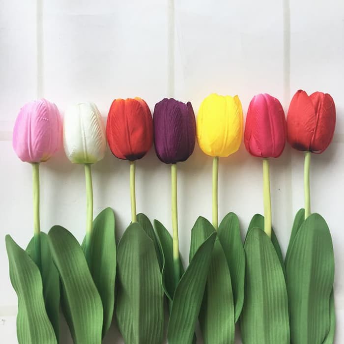 Detail Warna Gambar Bunga Tulip Nomer 5
