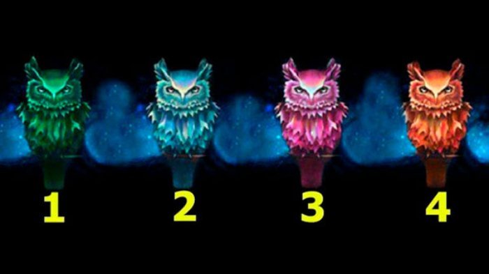 Detail Warna Gambar Burung Hantu Nomer 27