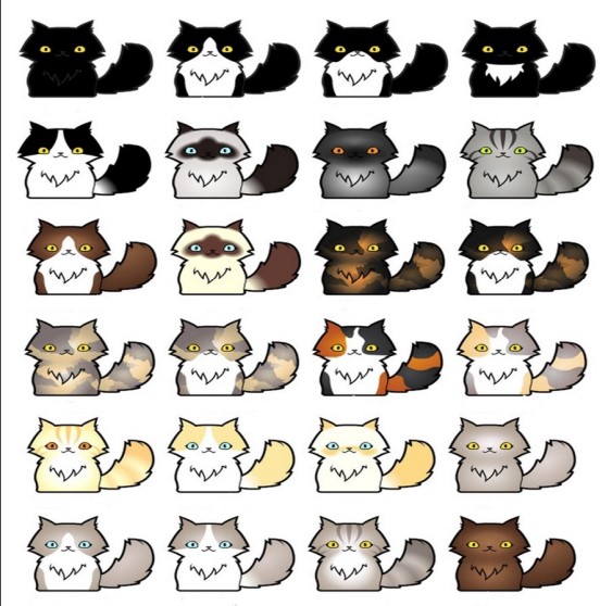 Detail Warna Gambar Kucing Nomer 25