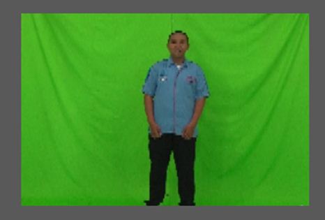 Detail Warna Hijau Untuk Green Screen Nomer 53