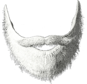 Detail Side Beard Png Nomer 40