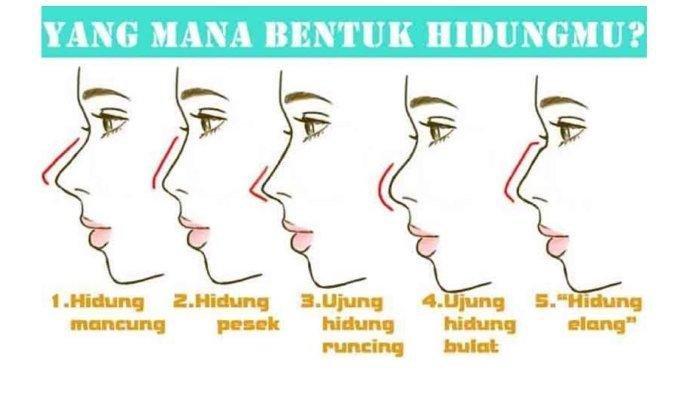 Detail Sifat Orang Berdasarkan Gambar Nomer 24