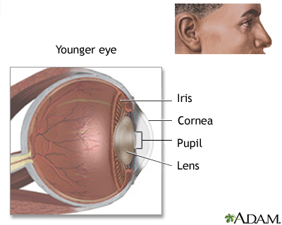 Detail Sight Images Nomer 24