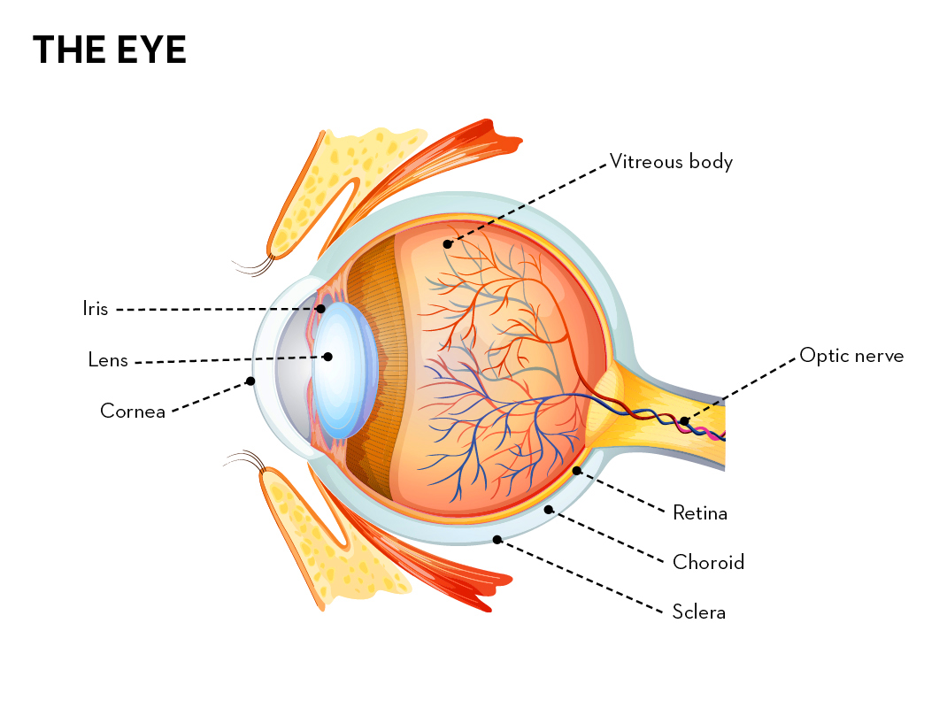 Detail Sight Images Nomer 10