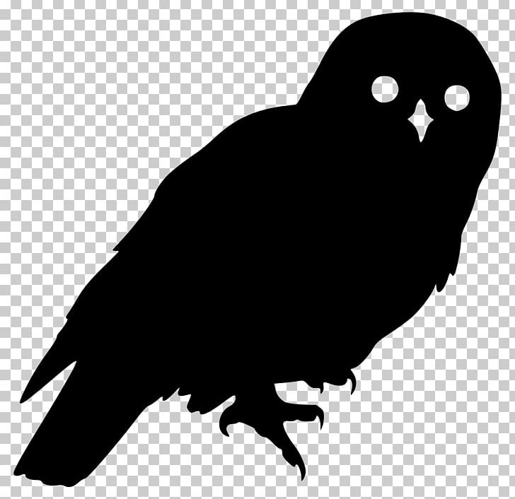 Detail Silhouette Owl Clipart Black And White Nomer 43