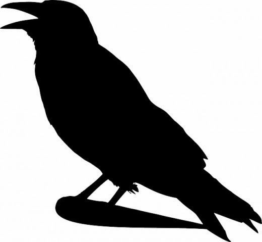 Detail Silhouette Raven Clipart Nomer 11