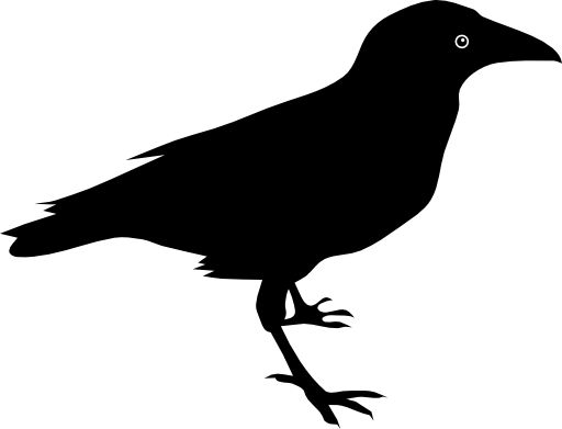 Detail Silhouette Raven Clipart Nomer 15