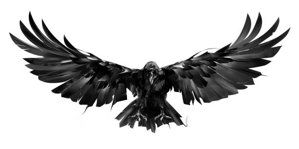 Detail Silhouette Raven Clipart Nomer 18