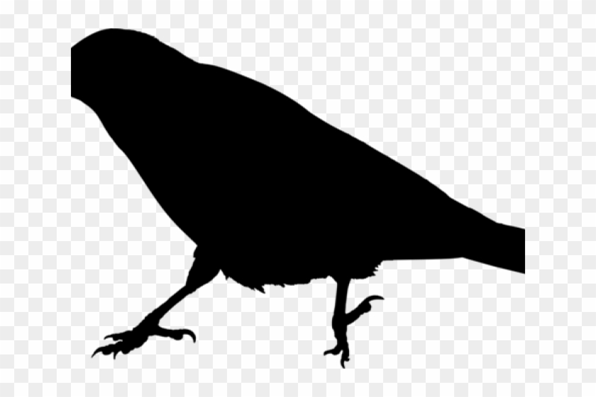 Detail Silhouette Raven Clipart Nomer 19
