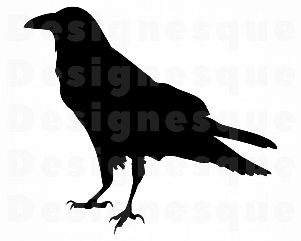 Silhouette Raven Clipart - KibrisPDR