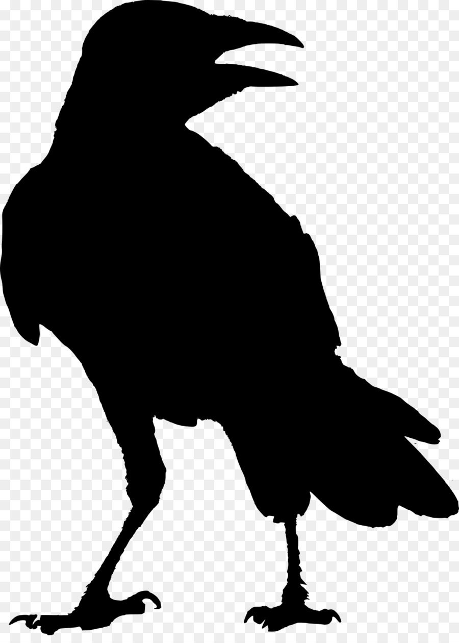 Detail Silhouette Raven Clipart Nomer 3